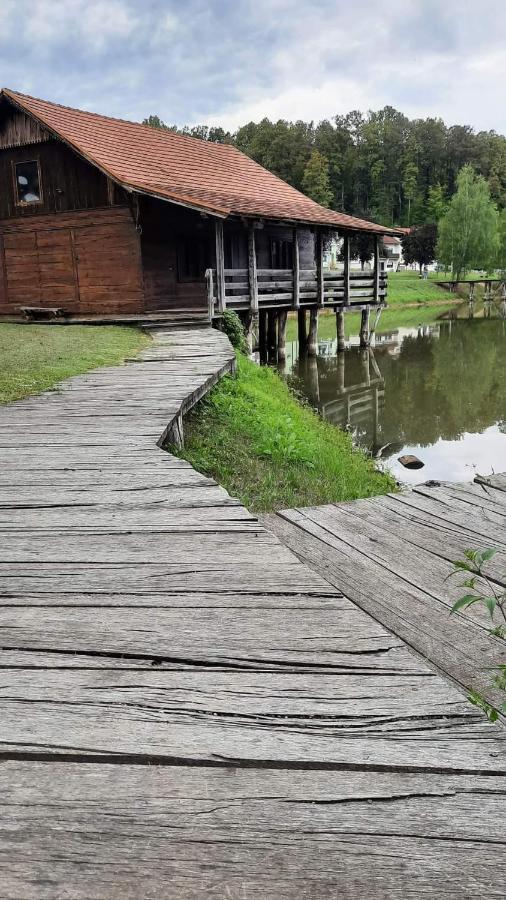 Apartman Abramovic Topusko Buitenkant foto